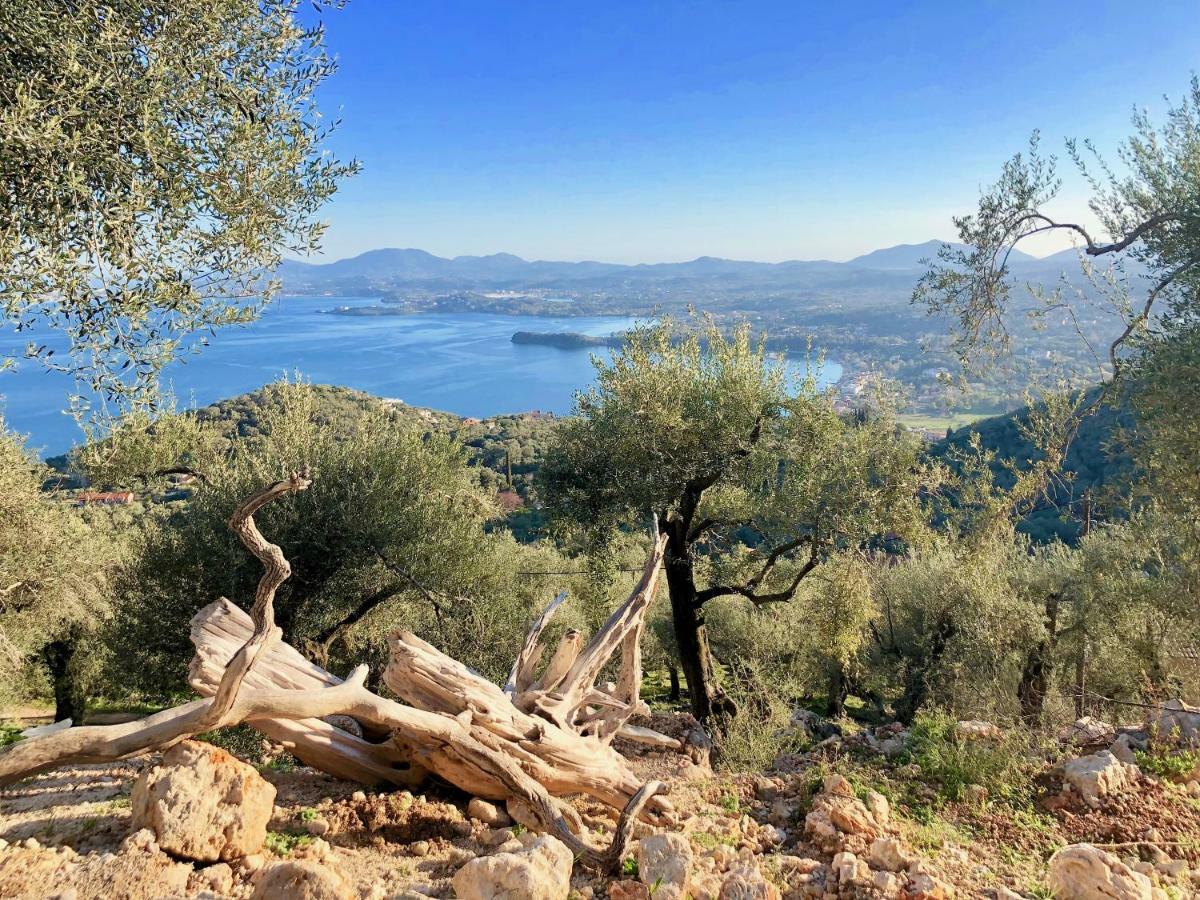 House Teigan Of Villa Intaba Breath Taking Sea Views Corfiot Riviera Corfu Island Greece With Pool Close To Ipsos Beach Pyrgi  Bagian luar foto